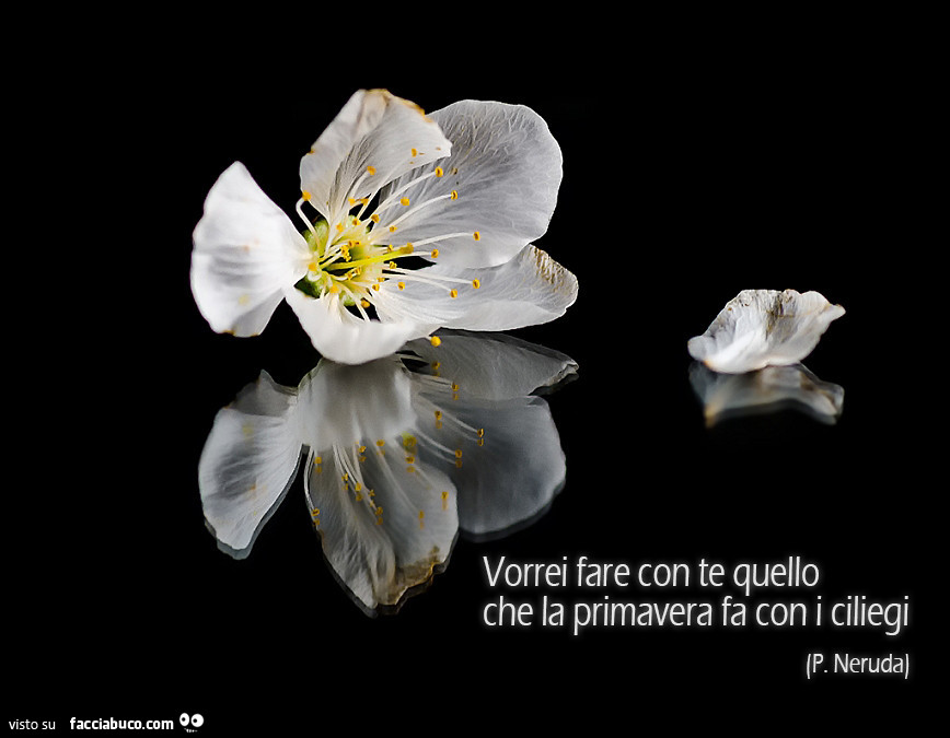 Vorrei fare con te quello che la primavera fa con i ciliegi. Pablo Neruda