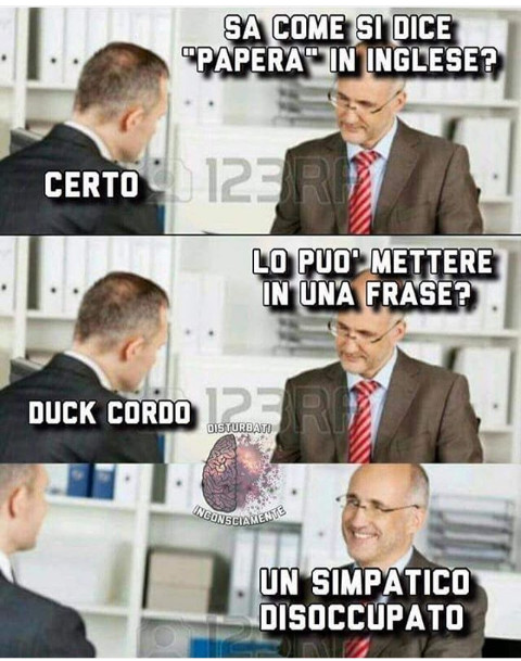 Duck cordo papera inglese