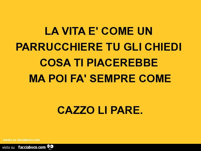 La vita è come un parrucchiere tu gli chiedi cosa ti piacerebbe ma poi fà sempre come cazzo li pare