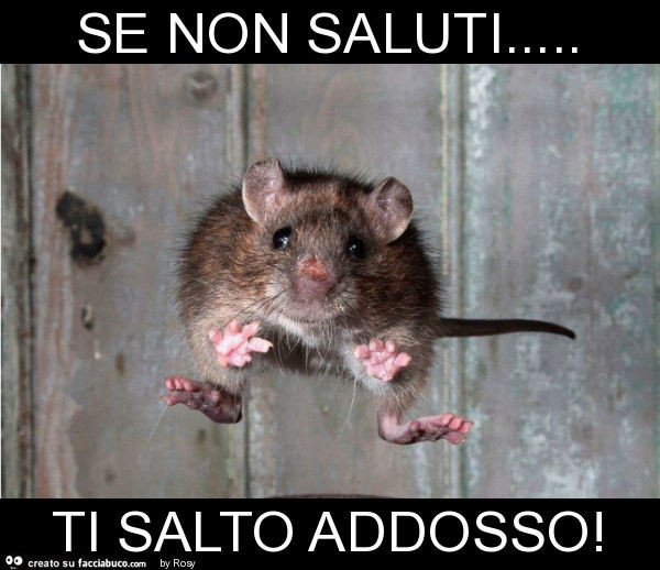 Se non saluti… ti salto addosso