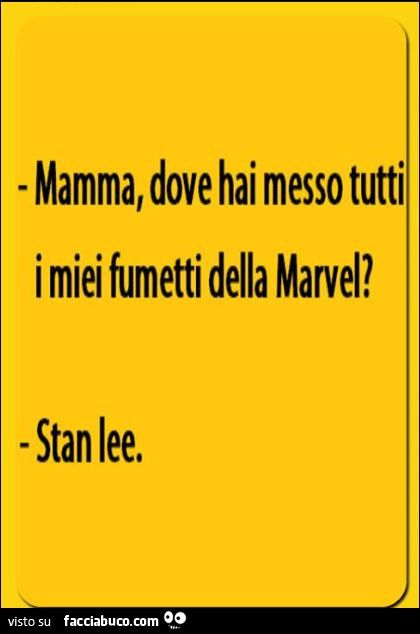 Mamma, dove hai messo tutti i miei fumetti della Marvel? Stan Lee
