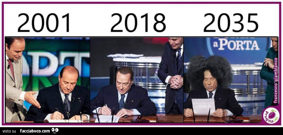 I capelli di Berlusconi nel 2035