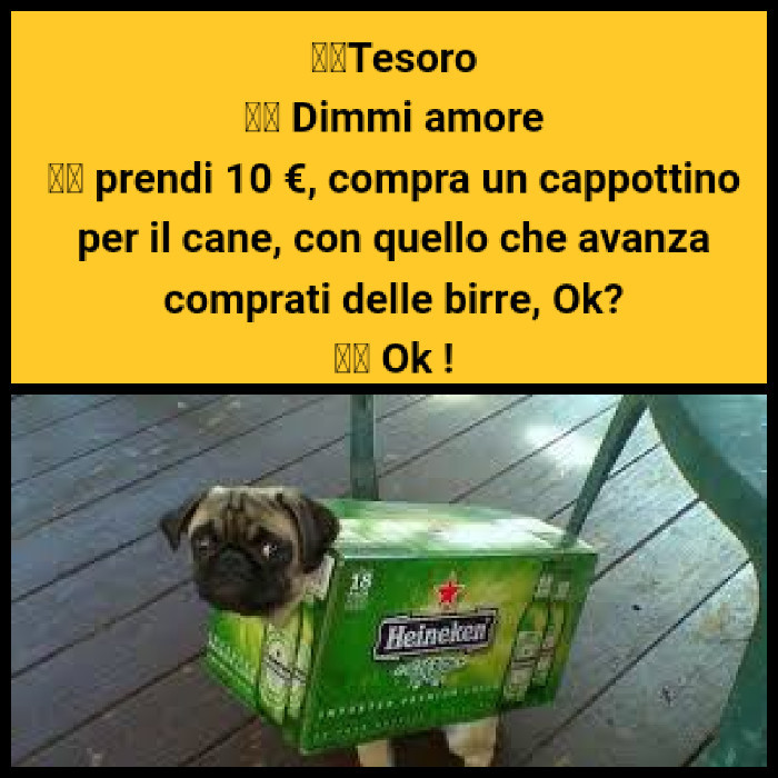 DIECI EURO CANE BIRRE