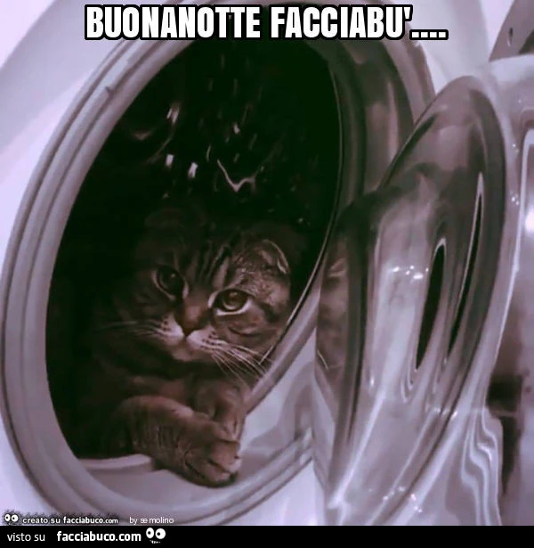 Buonanotte facciabù