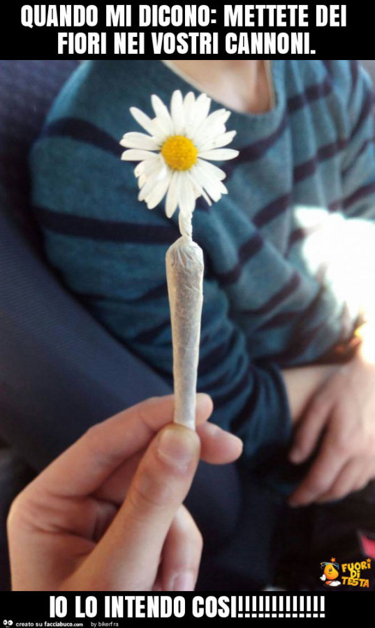 Quando mi dicono: mettete dei fiori nei vostri cannoni. Io lo intendo cosi