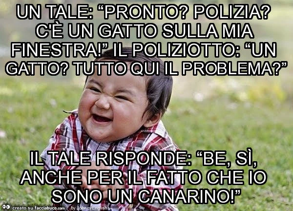Un tale: “pronto? Polizia? C'è un gatto sulla mia finestra! ” Il poliziotto: “un gatto? Tutto qui il problema? ” Il tale risponde: “be, sì, anche per il fatto che io sono un canarino! ”
