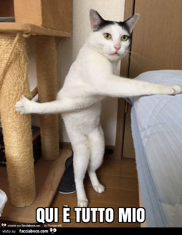 Qui è tutto mio