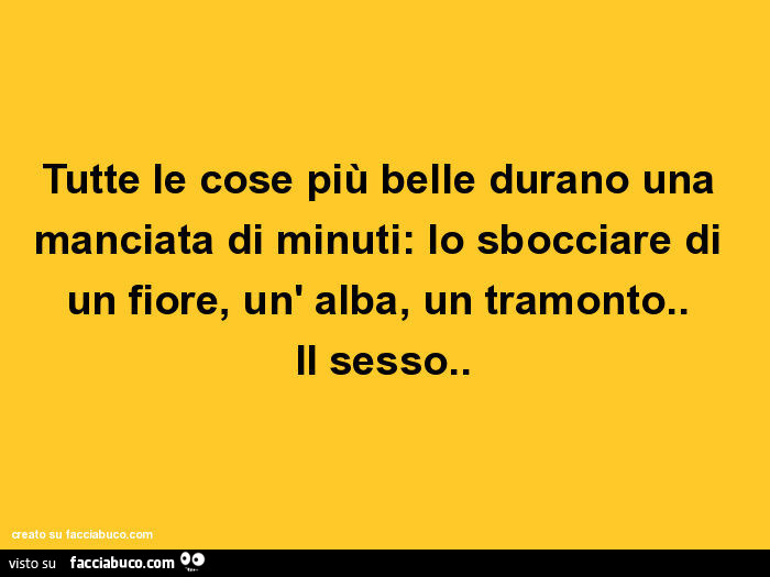 Tutte le cose più belle durano una manciata di minuti: lo sbocciare di un fiore, un' alba, un tramonto. Il sesso