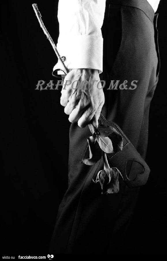 Uomo elegante con rosa e frustino in mano