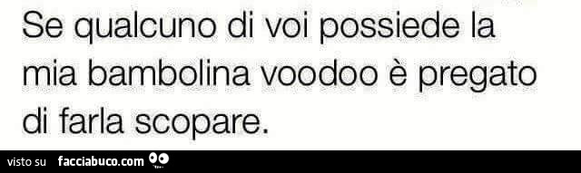 Se qualcuno di voi possiede la mia bambolina voodoo è pregato di farla scopare