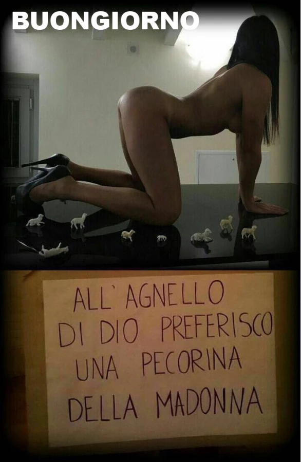 Pecorina