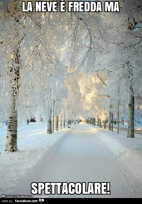 La neve è fredda ma spettacolare