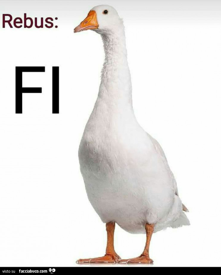 Rebus Fi Oca