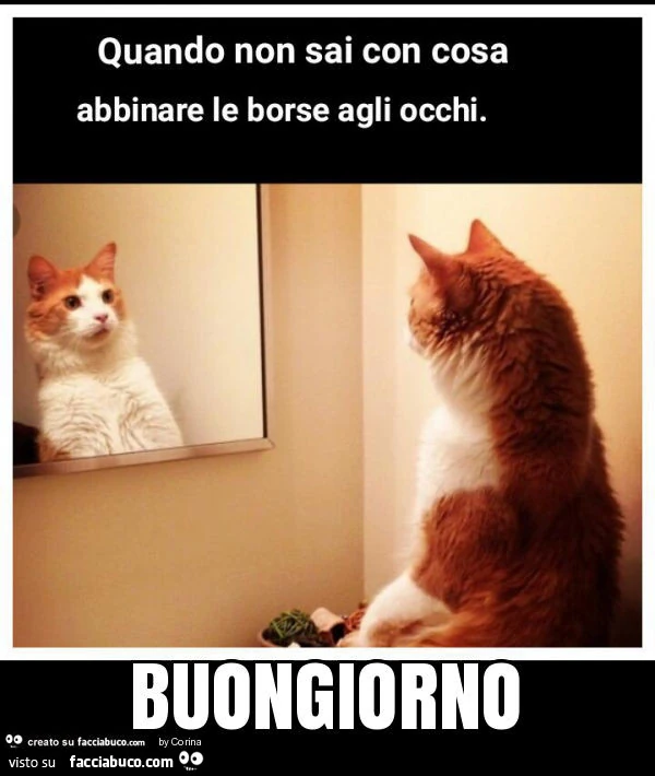 Buongiorno