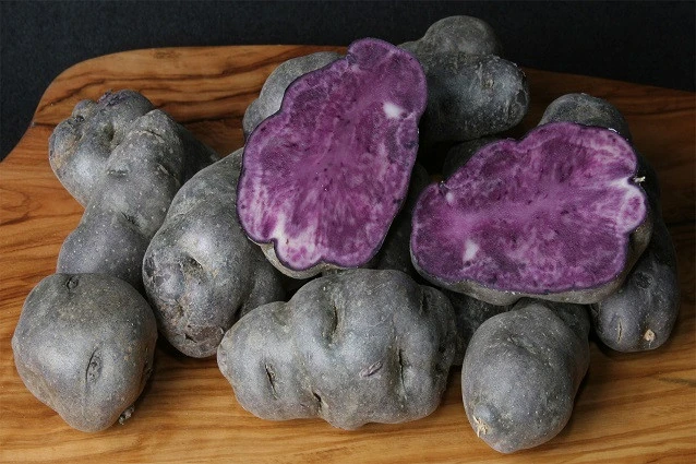 Vaccata