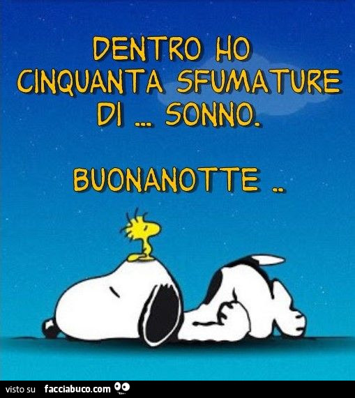 Dentro ho cinquanta sfumature di… sonno. Buonanotte