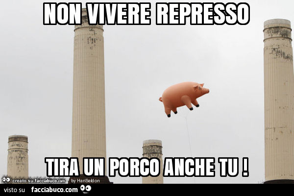Non vivere represso tira un porco anche tu
