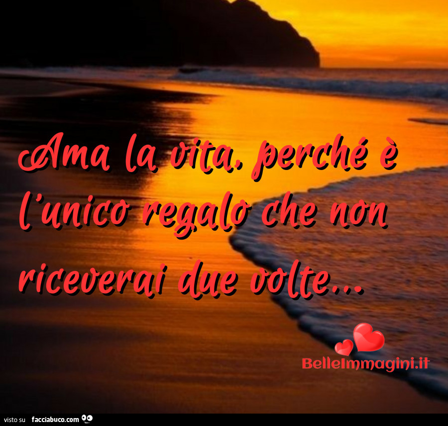Ama la vita perchè è l'unico regalo che non riceverai due volte