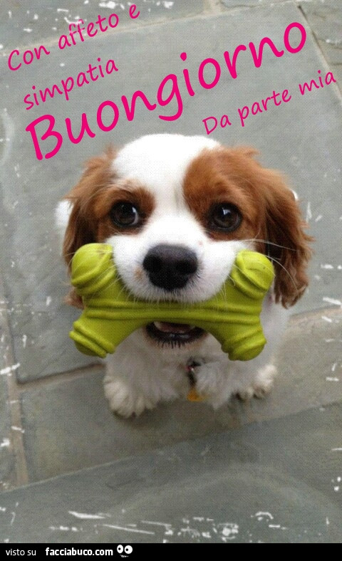 Con affetto e simpatia buongiorno da parte mia