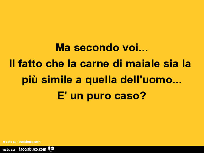 Ma secondo voi… il fatto che la carne di maiale sia la più simile a quella dell'uomo… è un puro caso?