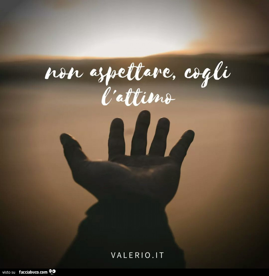Non aspettare, cogli l'attimo - Facciabuco.com