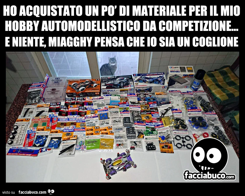 Ho acquistato un po' di materiale per il mio hobby automodellistico da competizione&hellip; e niente, Miagghy pensa che io sia un coglione