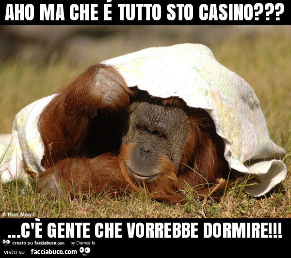 Tutto Sto Casino