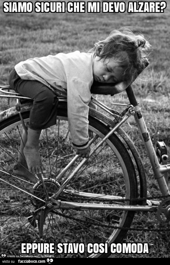 Siamo sicuri che mi devo alzare? Eppure stavo cosi comoda