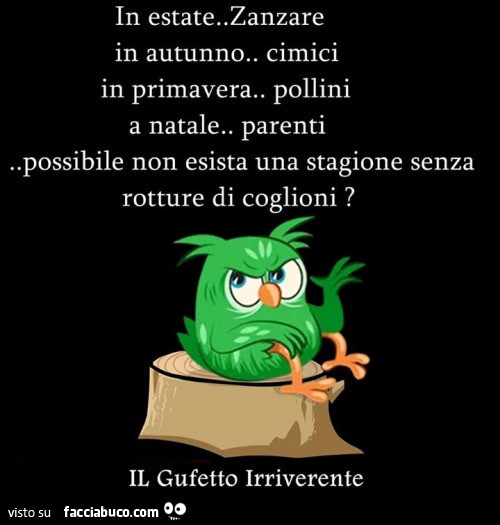 In estate zanzare, in autunno cimici in primavera, pollini a natale, parenti. Possibile non esista una stagione senza rotture di coglioni?