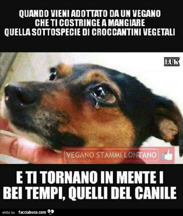 on6lsr28us-mi-stanno-portando-in-un-rist