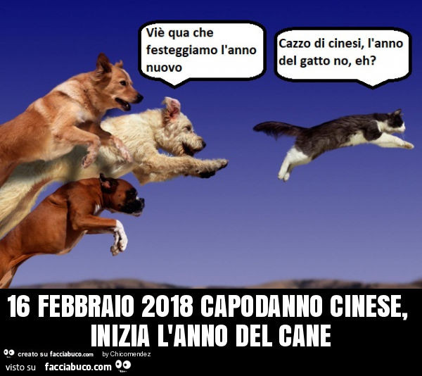 16 febbraio 2018 capodanno cinese, inizia l'anno del cane