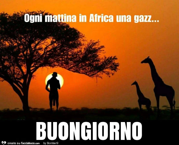 Buongiorno