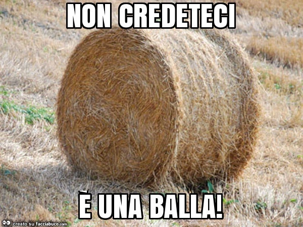 Non credeteci è una balla