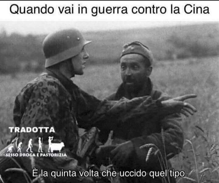 Vaccata