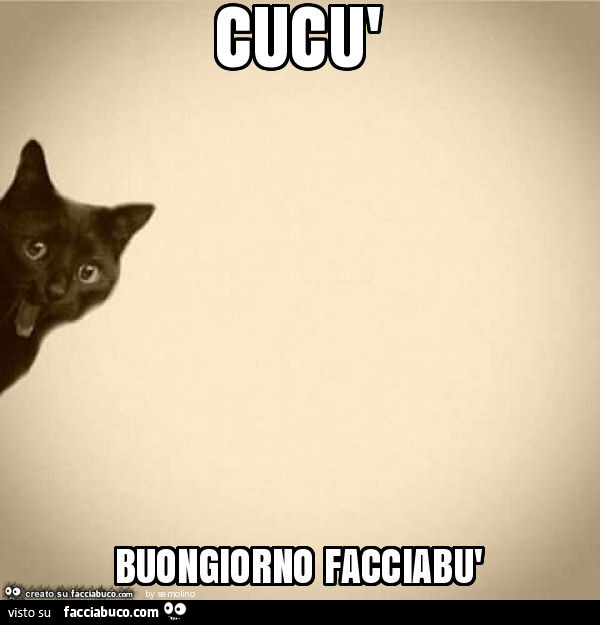 Cucù buongiorno facciabù