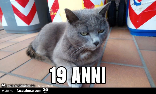 19 anni