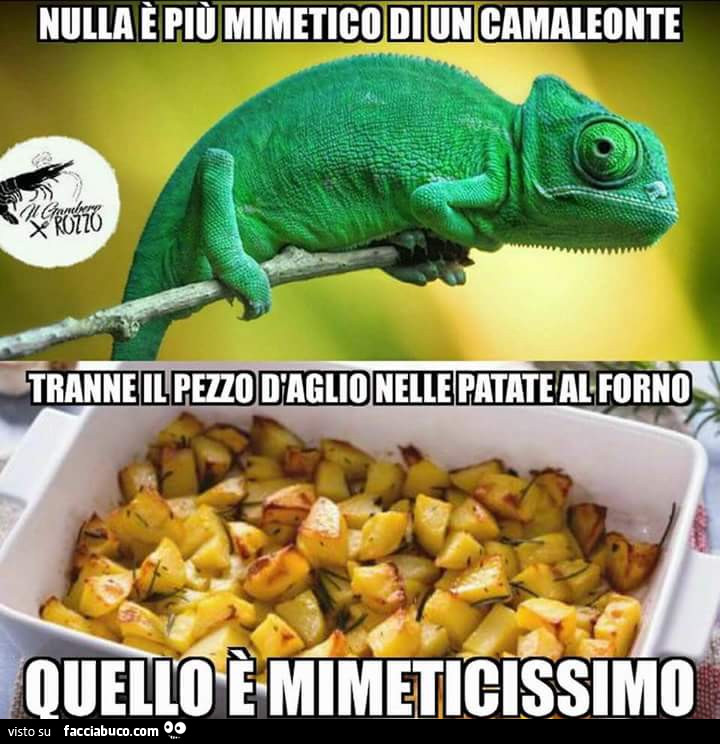 Nulla è più mimetico di un camaleonte, tranne il pezzo d'aglio nelle patate al forno, quello è mimeticissimo