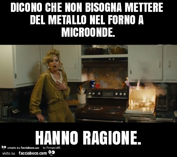 Dicono che non bisogna mettere del metallo nel forno a microonde. Hanno ragione