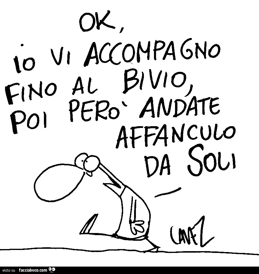 Ok io vi accompagno fino al bivio poi però andate affanculo da soli