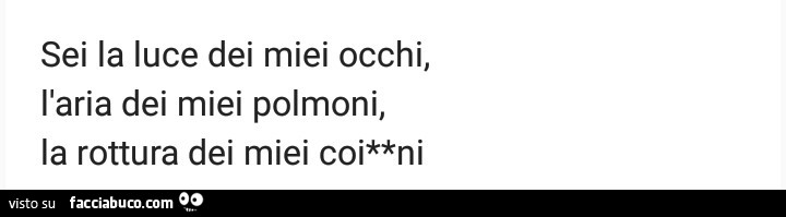 Sei la luce dei miei occhi, l'aria dei miei polmoni, la rottura dei miei coglioni