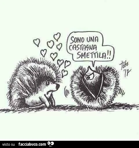 Sono una castagna smettila