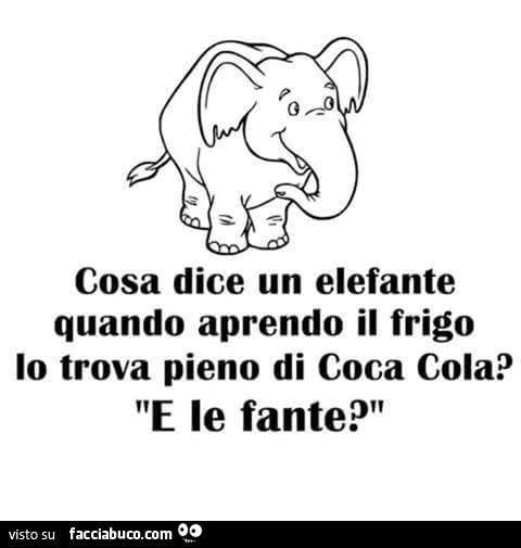 Cosa dice un elefante quando aprendo il frigo lo trova pieno di coca cola? E le fante?