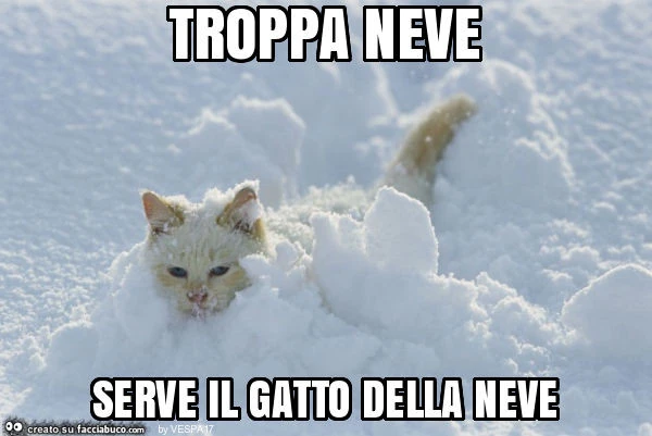 Troppa neve serve il gatto della neve