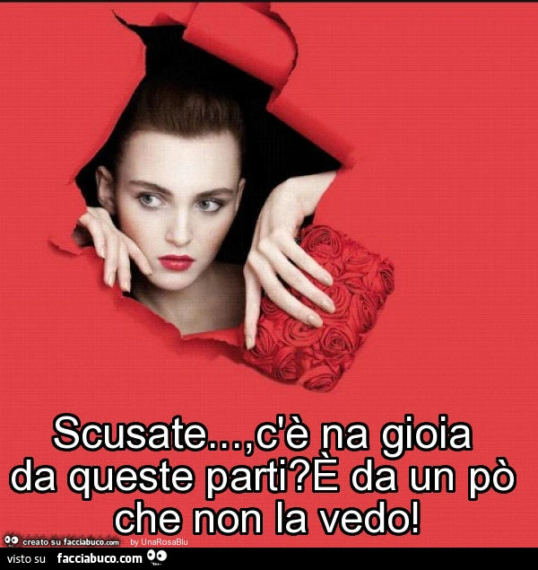 Scusate… , c'è na gioia da queste parti? È Da un po' che non la vedo