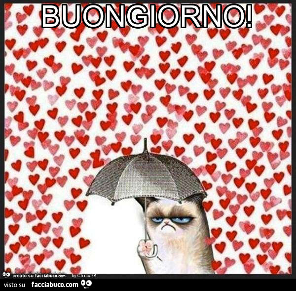 Grumpy Cat con ombrello per proteggersi dai cuori. Buongiorno