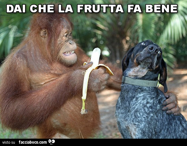 Dai che la frutta fa bene