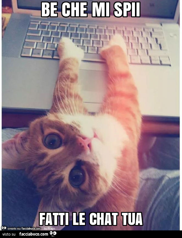 Be che mi spii fatti le chat tua