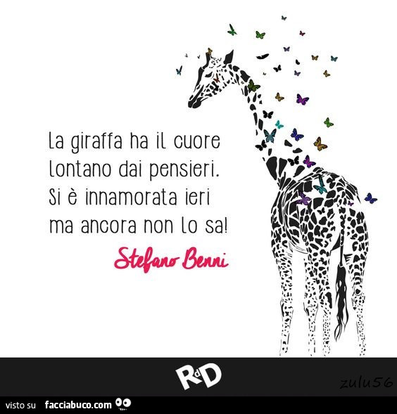 La giraffa ha il cuore lontano dai pensieri. Si è innamorata ieri ma ancora non lo sa. Stefano Benni