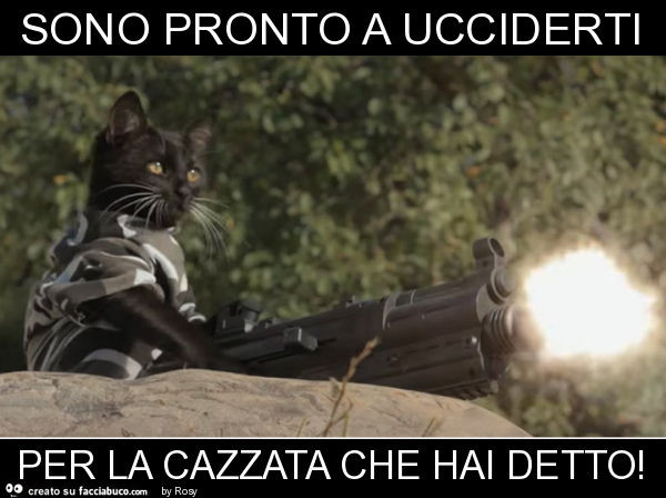 Vaccata