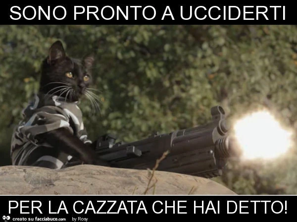 Vaccata